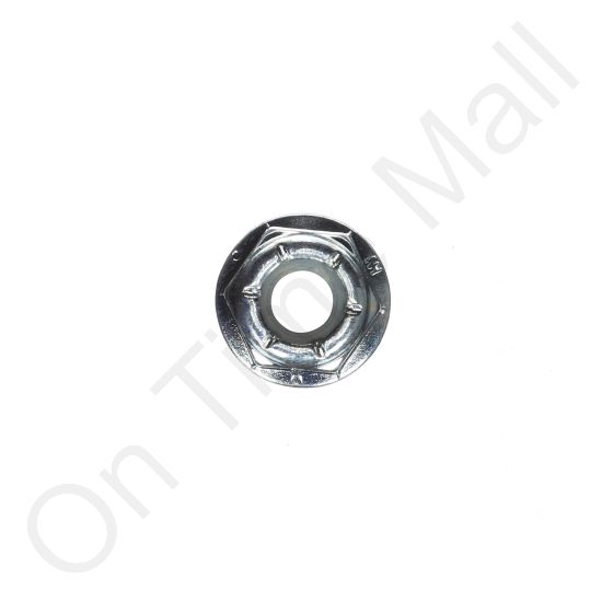 DriSteem 700300-030 Nut