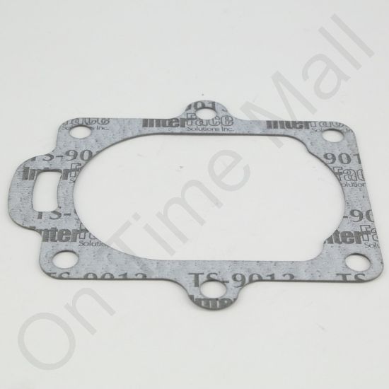 DriSteem 300000-001 Trap Gasket