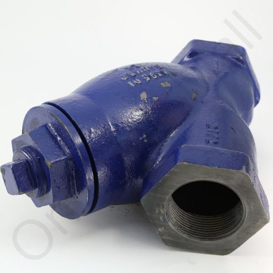 DriSteem 300100-007 Y Strainer