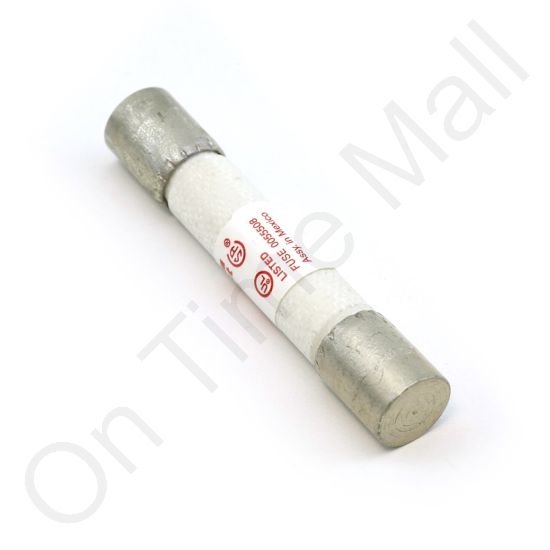DriSteem 406720-040 Fuse