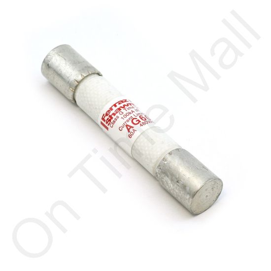 DriSteem 406720-060 Fuse