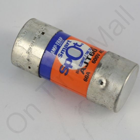 DriSteem 406755-006 Fuse