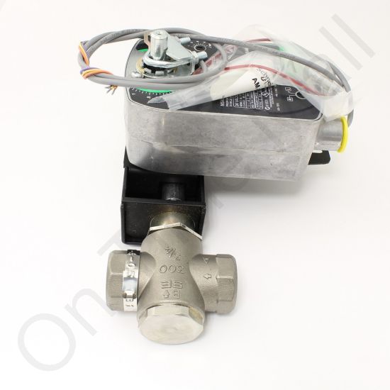 DriSteem 510701-001 Steam Valve