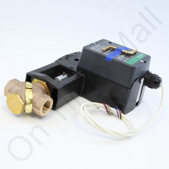 DriSteem 520200-002 Steam Valve