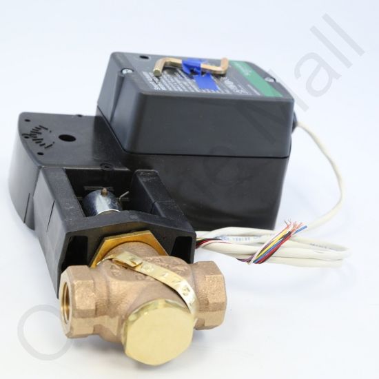 DriSteem 520200-004 Steam Valve