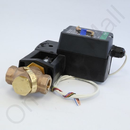 DriSteem 520200-007 Steam Valve