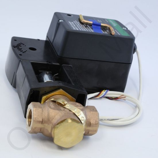 DriSteem 520200-010 Steam Valve