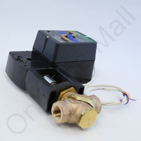DriSteem 520200-011 Steam Valve