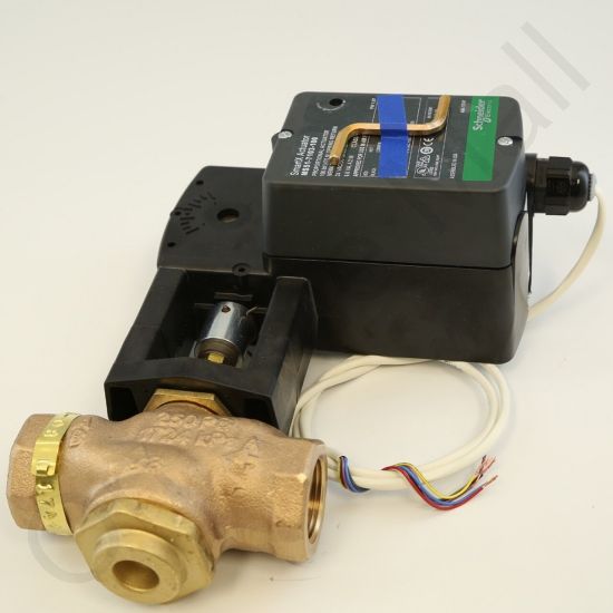 DriSteem 520200-018 Steam Valve