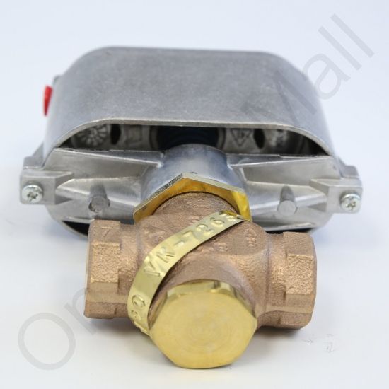 DriSteem 520201-011 Steam Valve