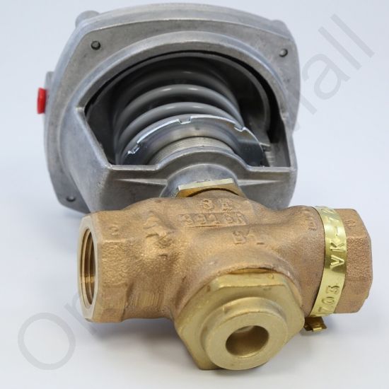 DriSteem 520201-017 Steam Valve