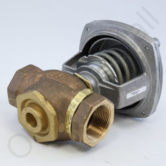 DriSteem 520201-019 Steam Valve