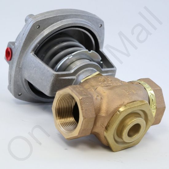 DriSteem 520201-021 Steam Valve