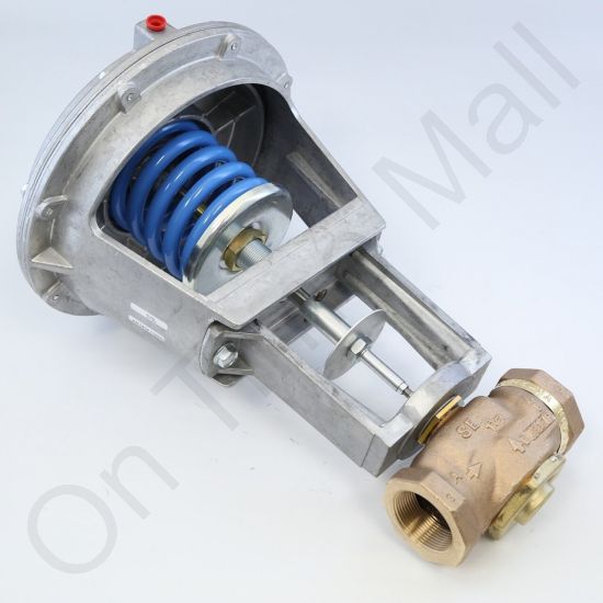 DriSteem 520201-024 Steam Valve