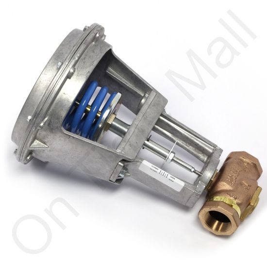 DriSteem 520201-025 Steam Valve