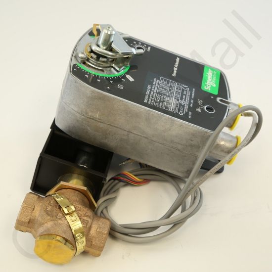 DriSteem 520202-002 Steam Valve