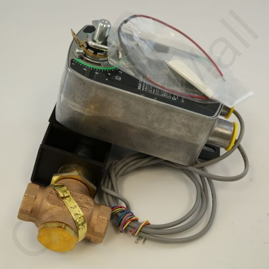 DriSteem 520202-003 Steam Valve