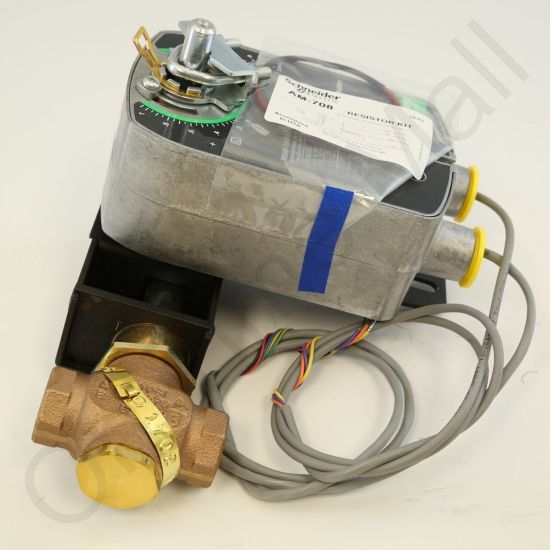 DriSteem 520202-005 Steam Valve