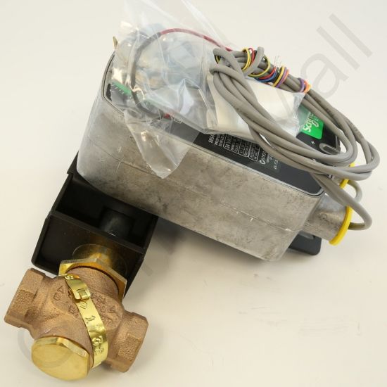 DriSteem 520202-007 Steam Valve