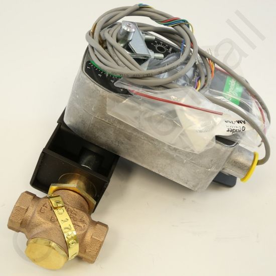 DriSteem 520202-008 Steam Valve