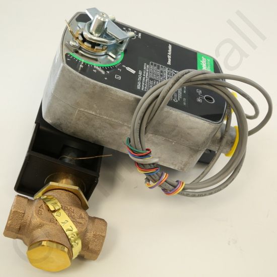 DriSteem 520202-009 Steam Valve