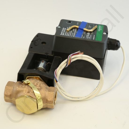 DriSteem 520202-014 Steam Valve