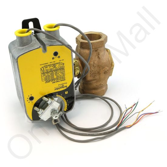 DriSteem 520202-023 Steam Valve