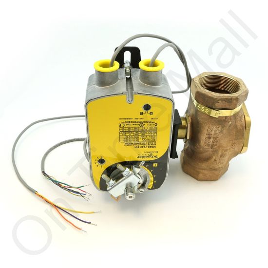 DriSteem 520202-027 Steam Valve