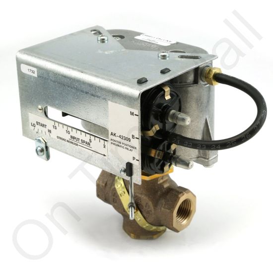 DriSteem 520203-002 Steam Valve