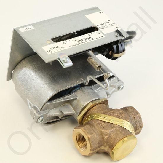 DriSteem 520203-011 Steam Valve