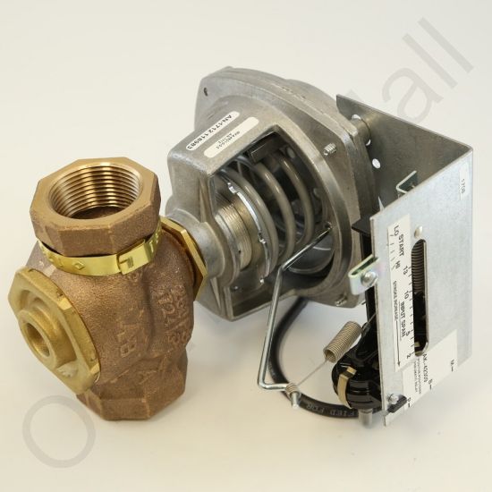 DriSteem 520203-019 Steam Valve