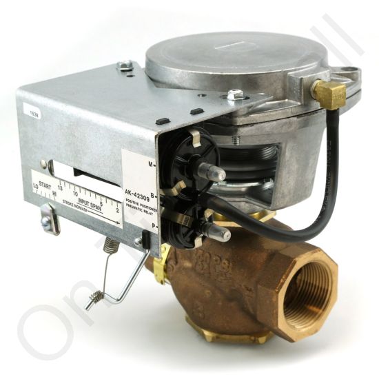 DriSteem 520203-021 Steam Valve